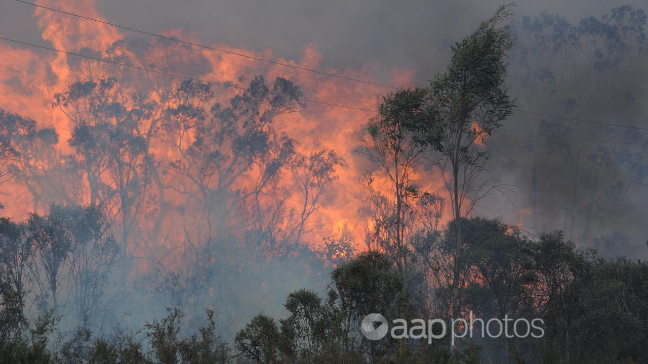 A bushfire jumps the Bells Line Road north of Lithgow, NSW