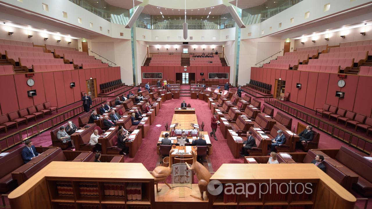 The Senate chamber at Parliament House (file image)