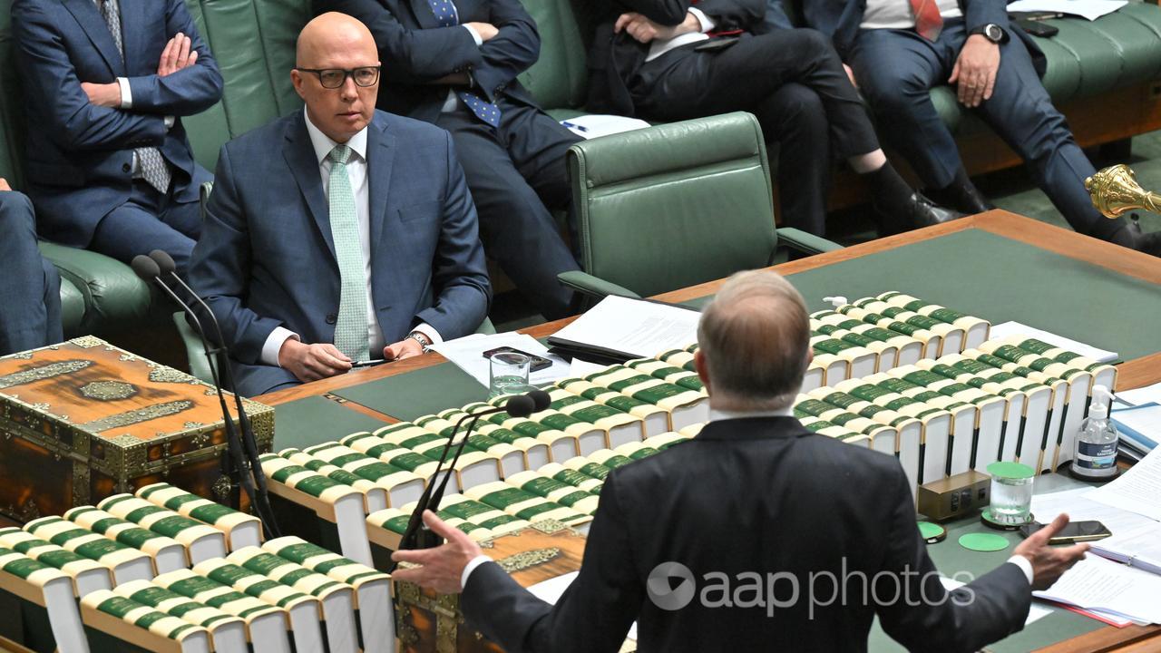 Peter Dutton and Prime Minister Anthony Albanese during Question Time.
