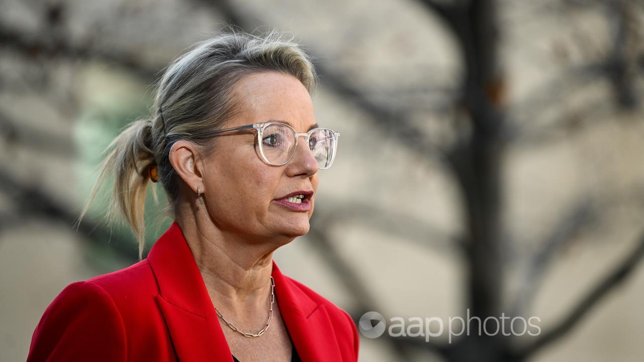 Deputy Opposition Leader Sussan Ley