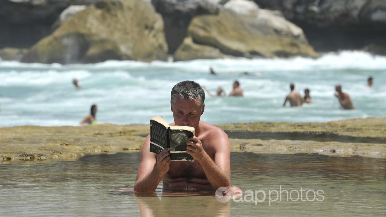 A beachgoer reads a book (file image)