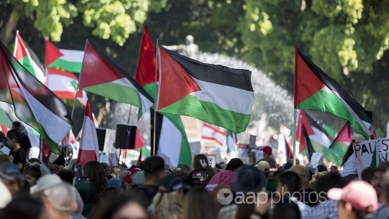 A free Palestine rally in Hyde Park, Sydney