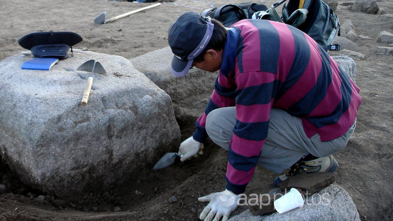 An archaeologist at work on a site (file image)