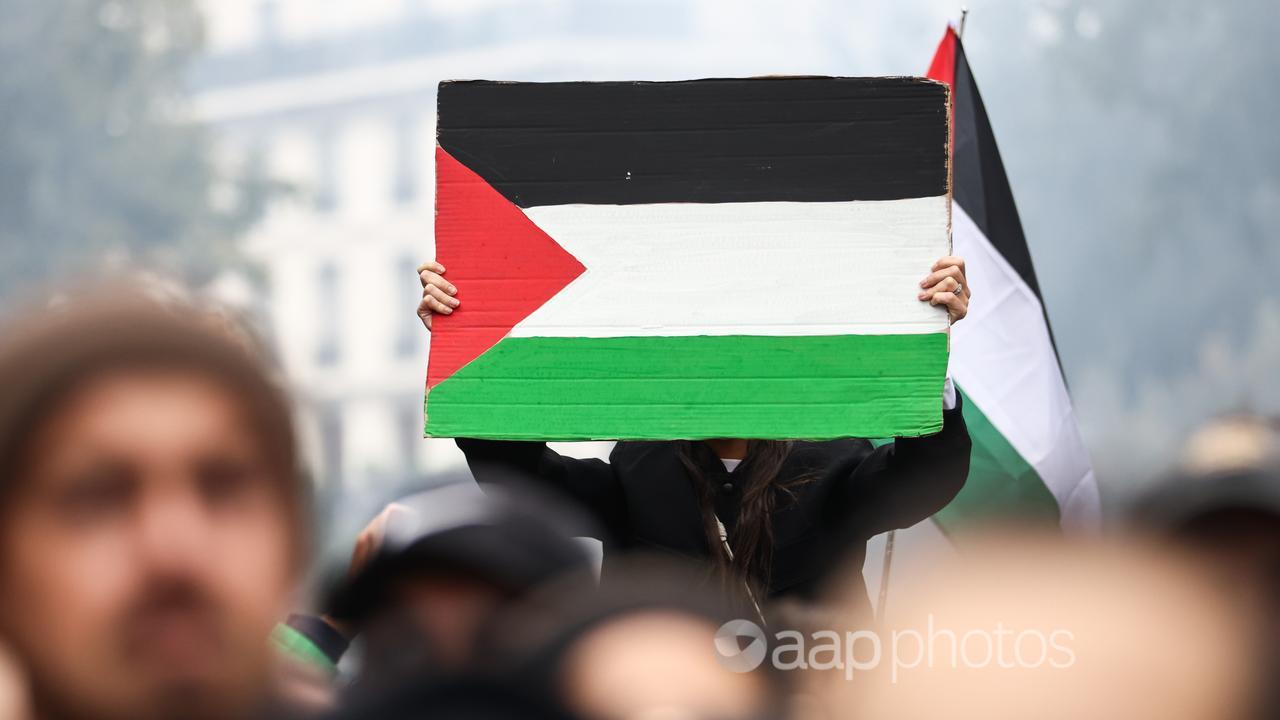 Palestine flag