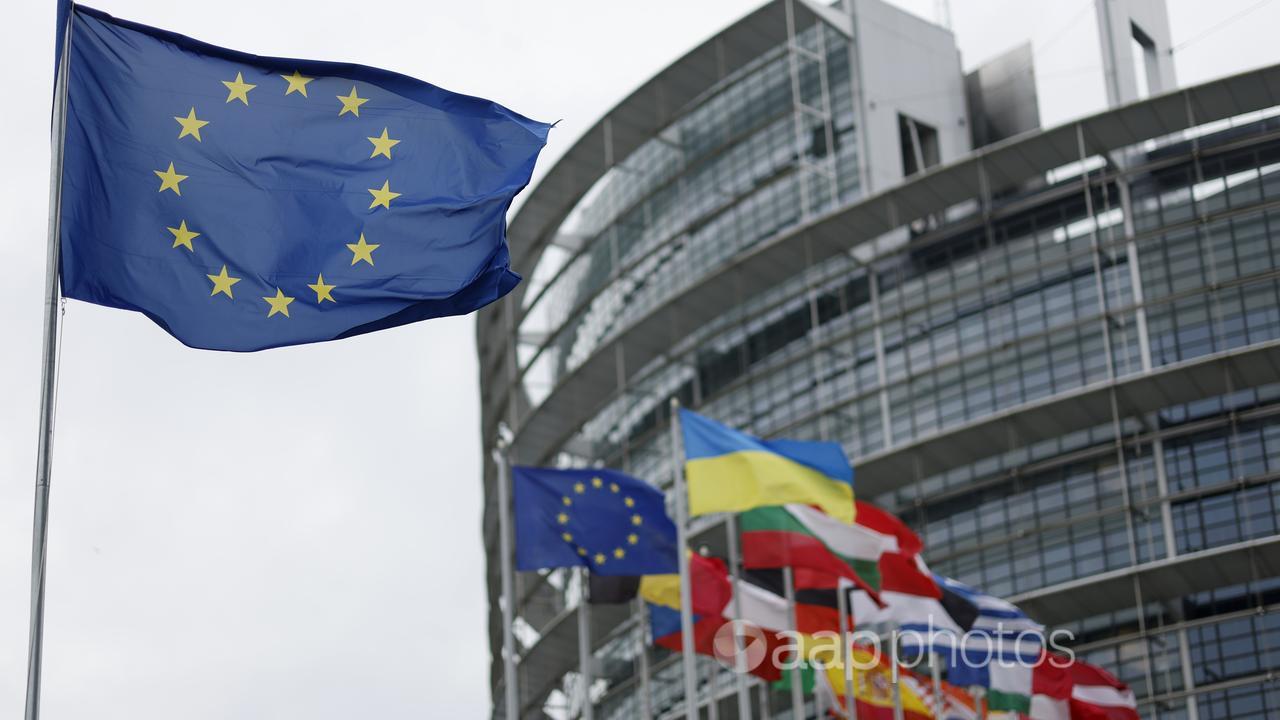 The EU flag at the European Parliament in Strasbourg (file image)