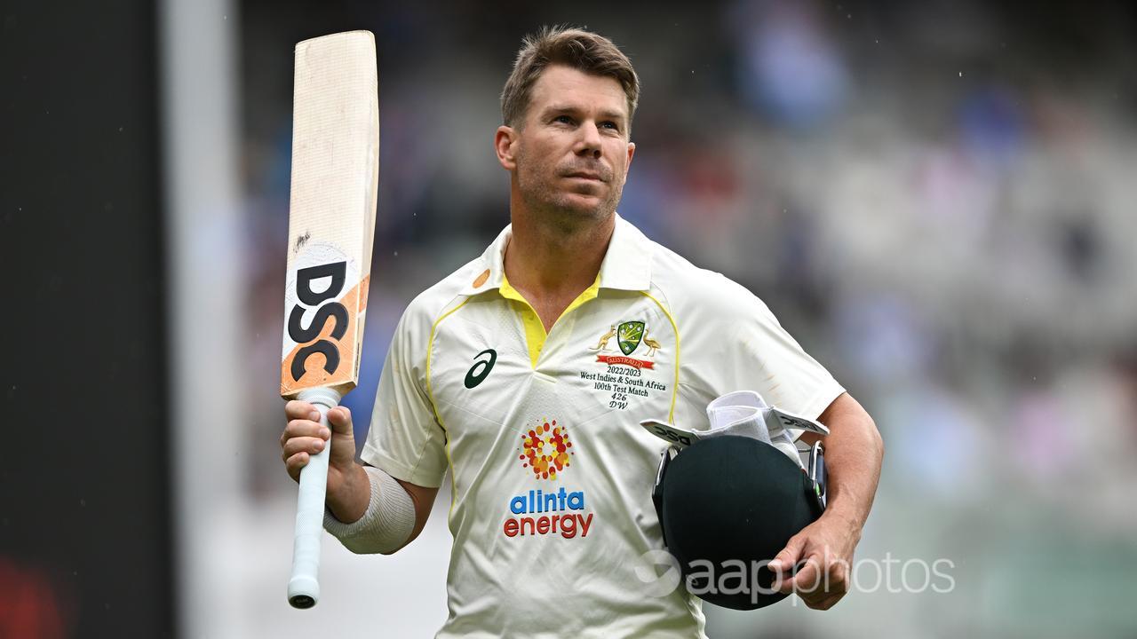 David Warner has endured a tough spell at the top of the order.