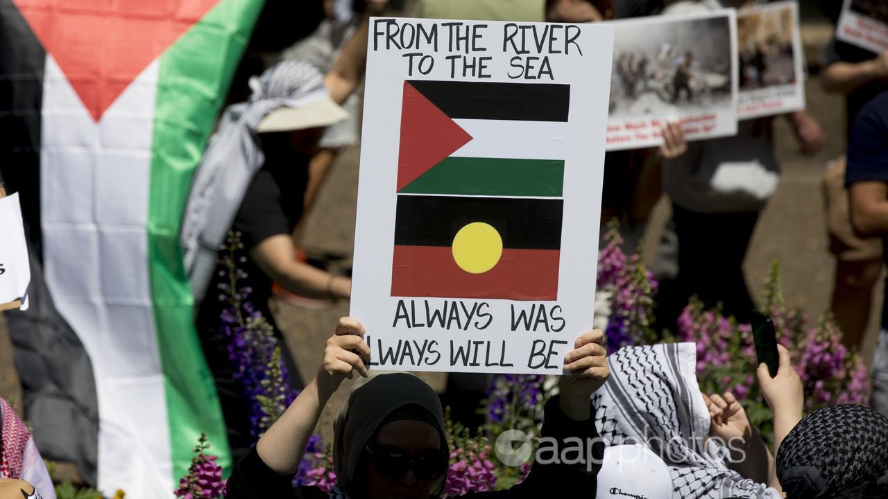 A pro-Palestine demonstration in Sydney (file image)