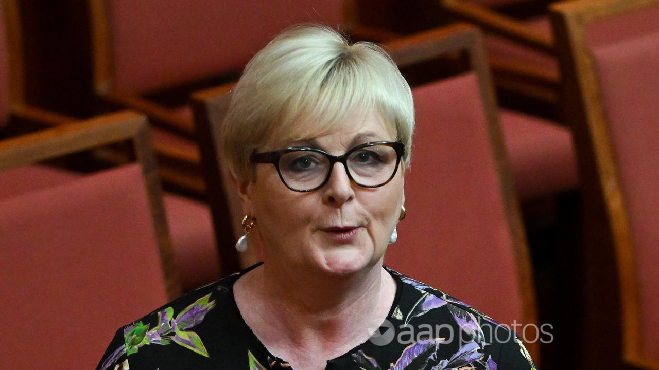 Liberal Senator Linda Reynolds (file image)