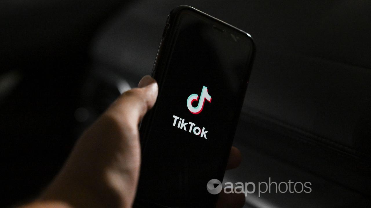 The TikTok app logo (file image)