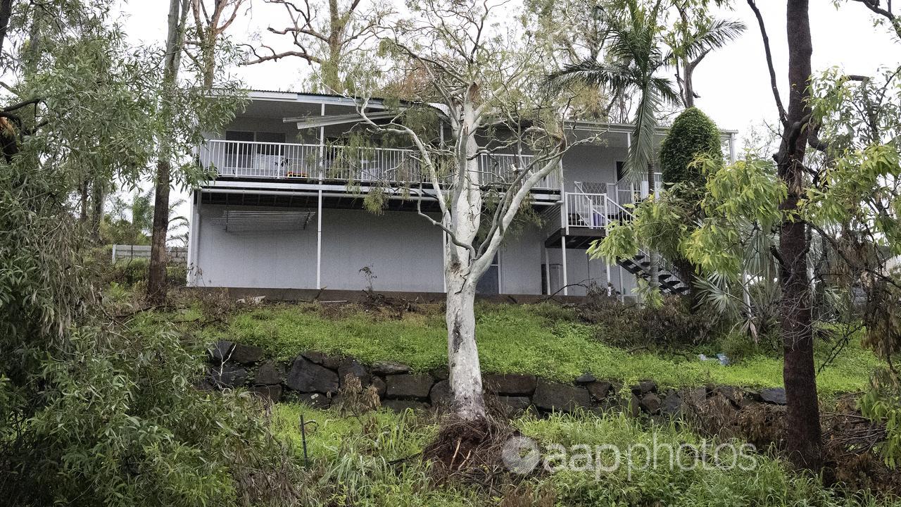 Home damaged by a fallen tree on the Gold Coast.