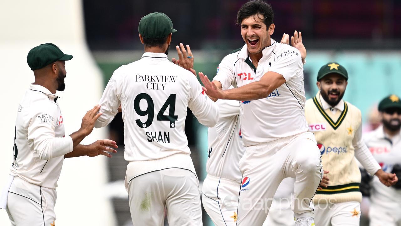 Pakistan bowlers celebrate against Australia at the SCG.