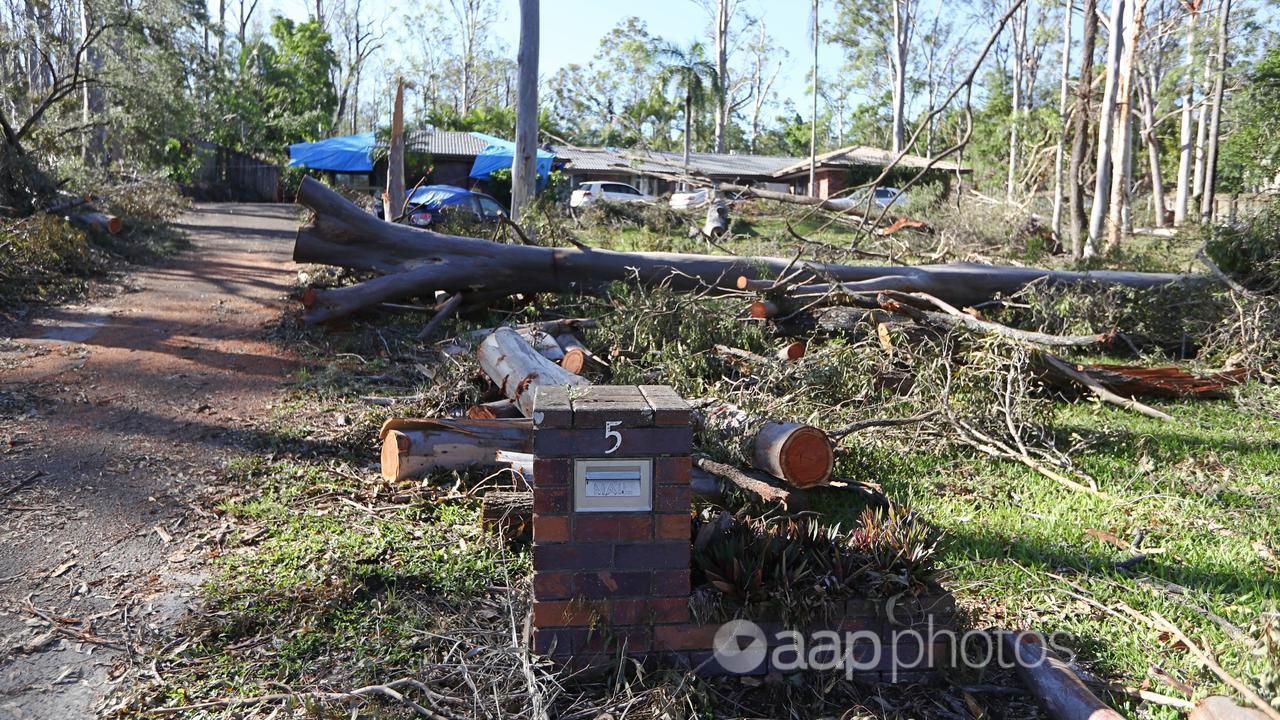 Storm damage is seen in Oxenford 