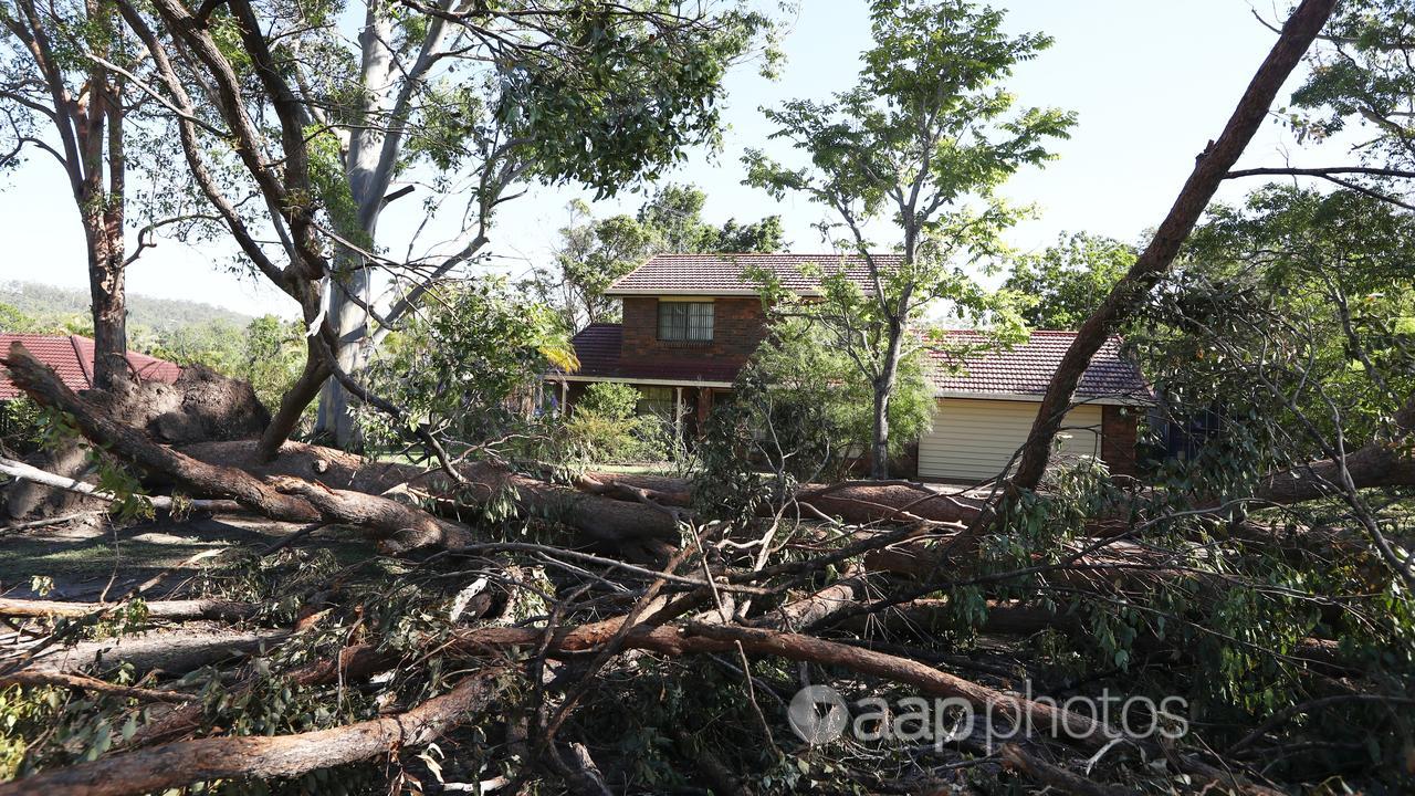 Storm damage is seen in Oxenford
