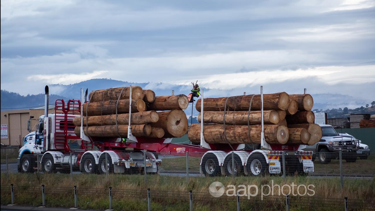 Logs on truck in Hobart (file image)