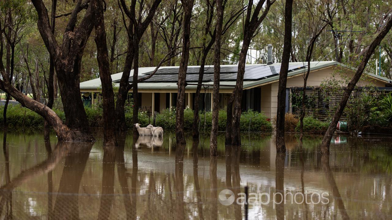Flooding has hit a large swathe of Victoria.