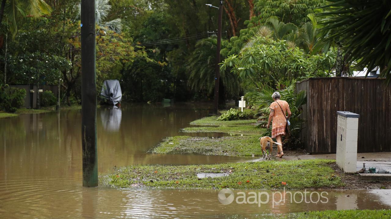 Woman walks her dog past floodwaters in Cairns in December 2023.
