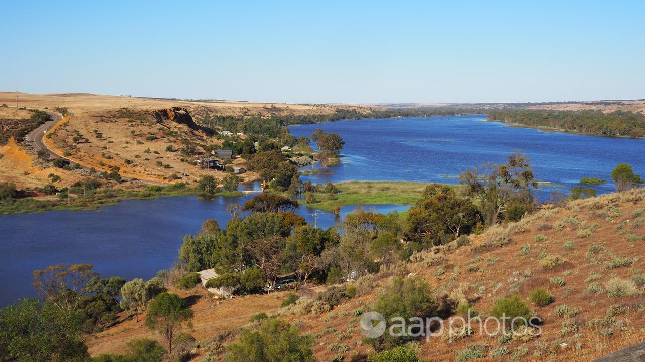 The Riverland region of South Australia (file)