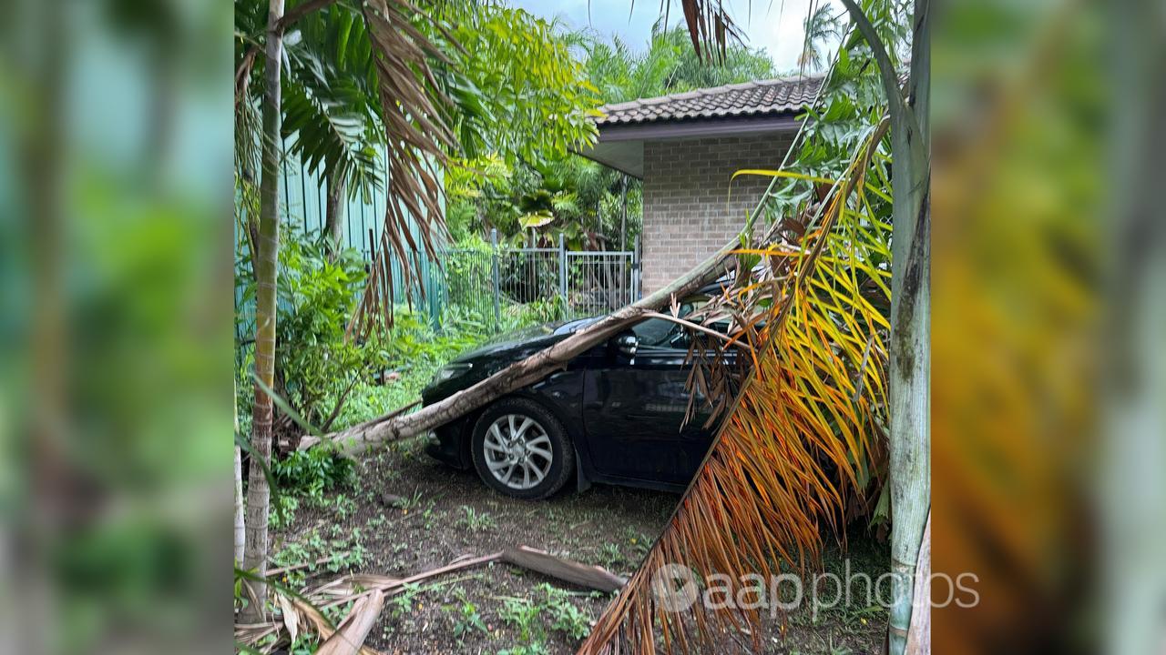 A tree fallen on a car in a Darwin backyard