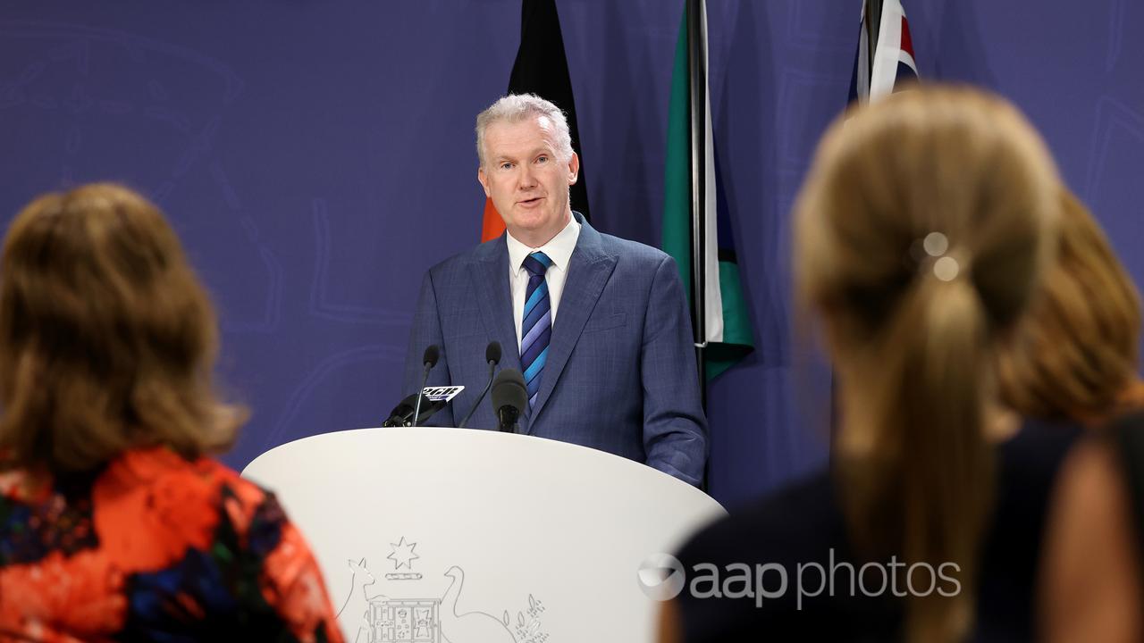 Minister for Employment and Workplace Relations Tony Burke