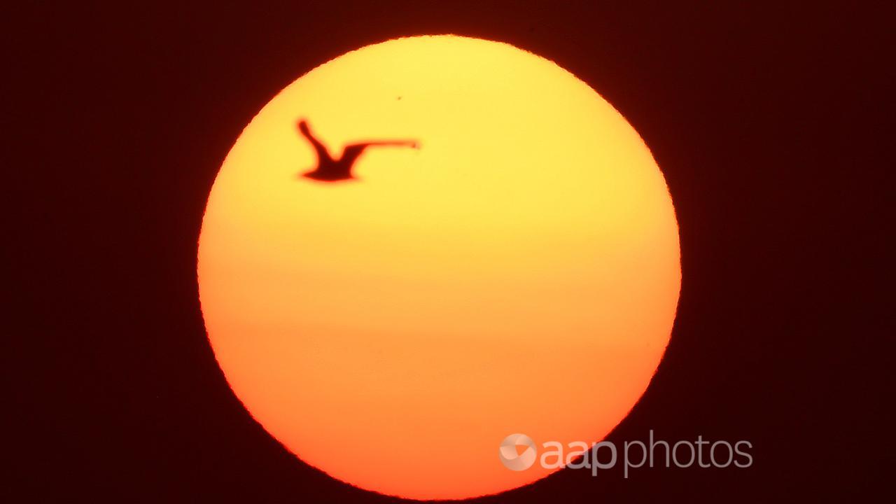 A file photo of the sun 