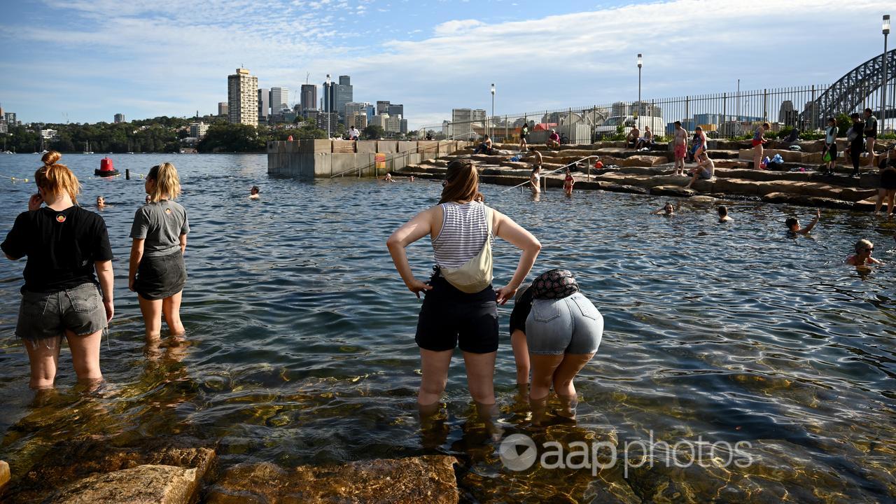 People are seen cooling off at Marrinawi Cove, in Sydney