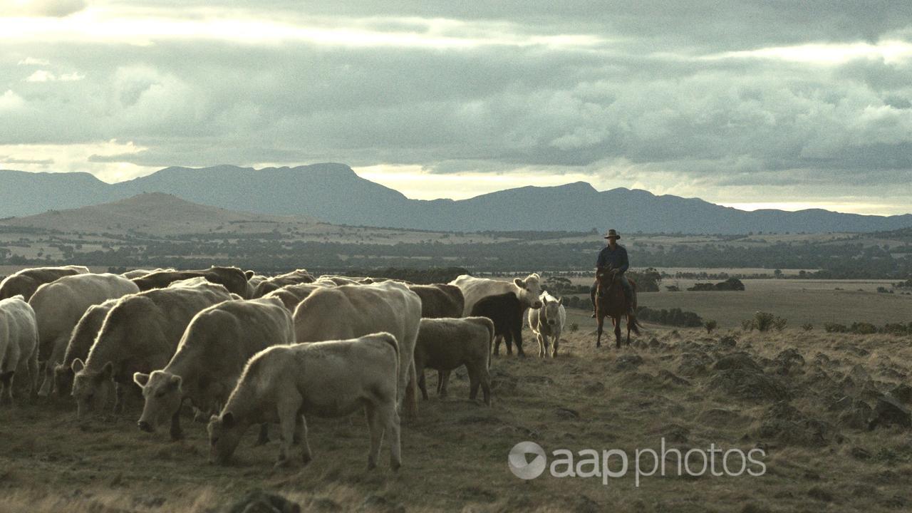 Still image from Australian film Just a Farmer.