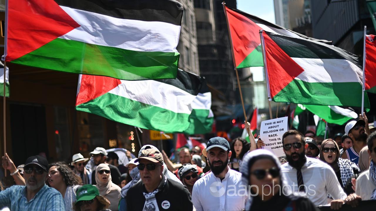 People participate in a pro-Palestine protest in Sydney.