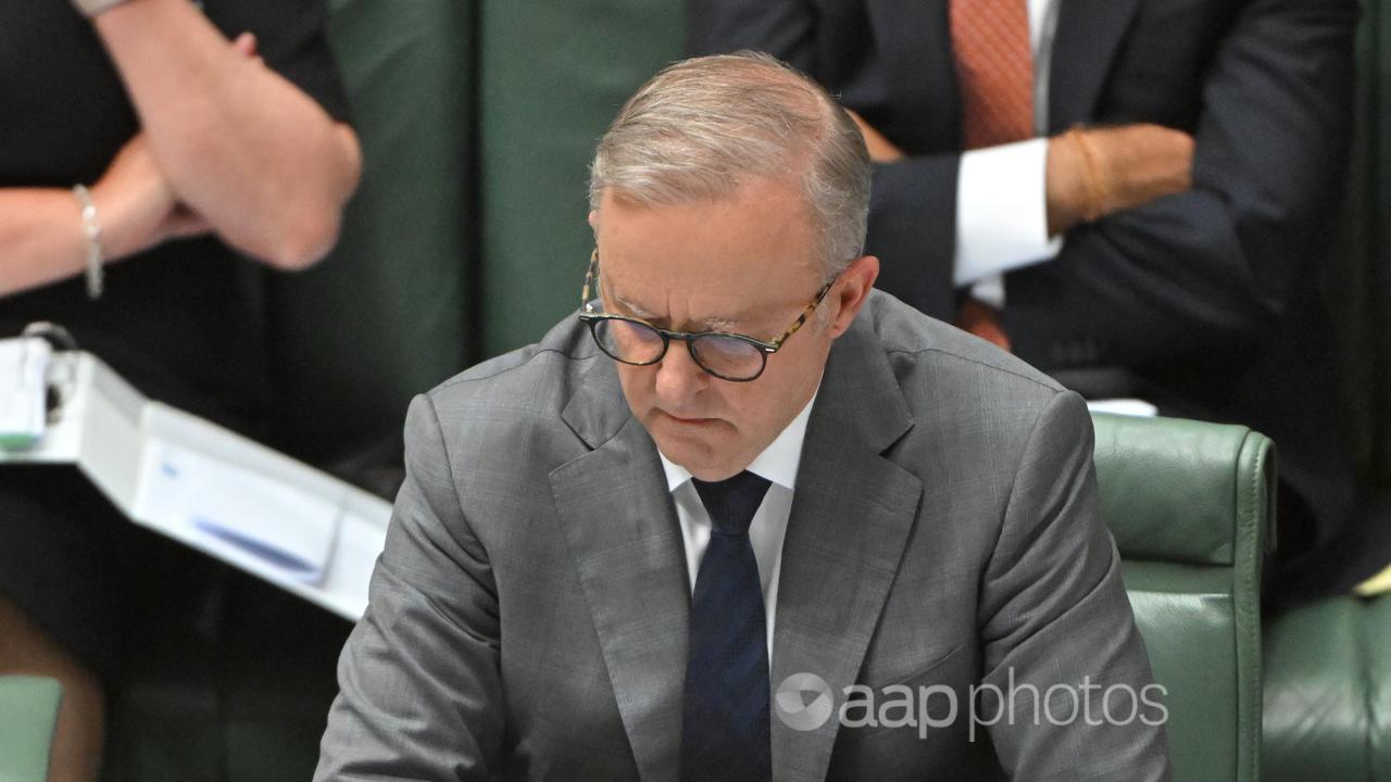 Prime Minister Anthony Albanese during Question Time