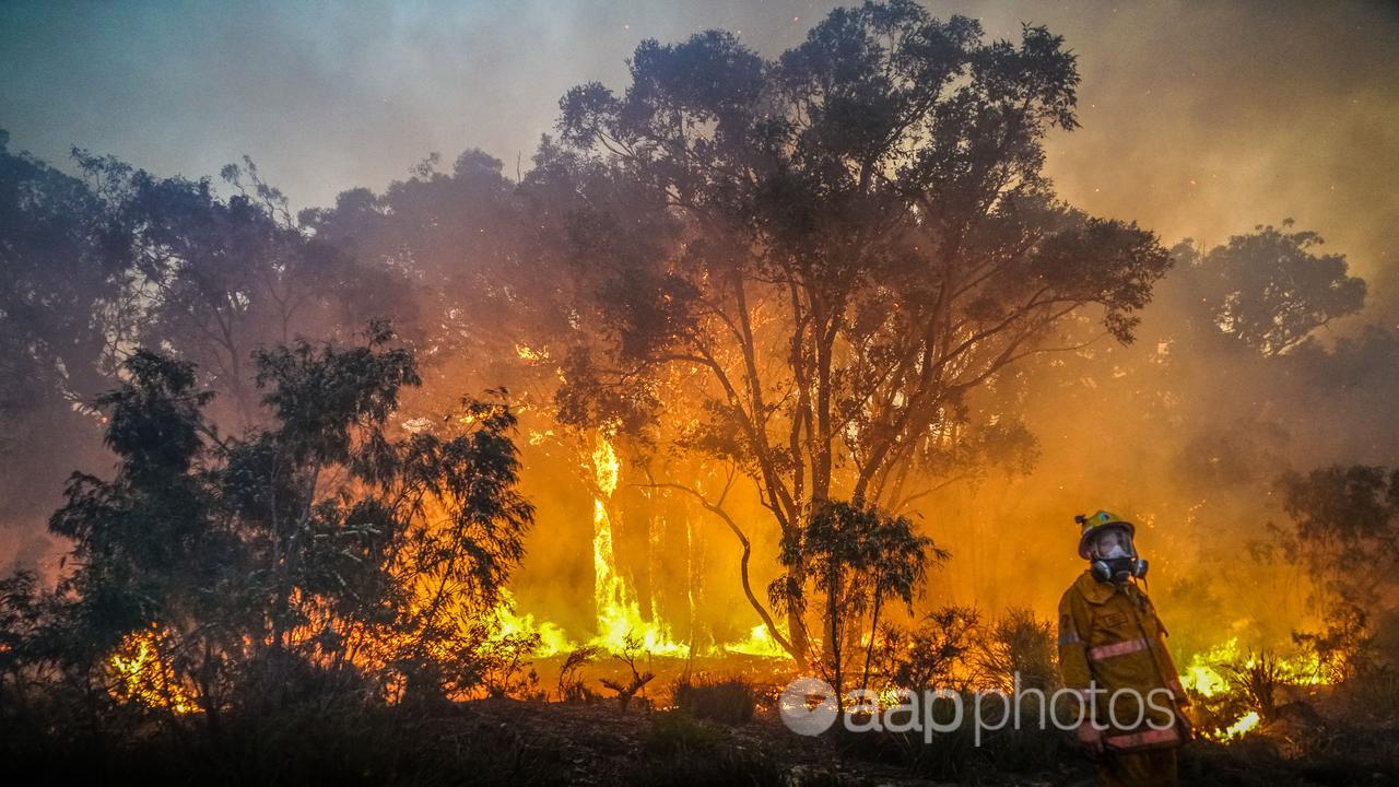 photo of firefighter at bushfire