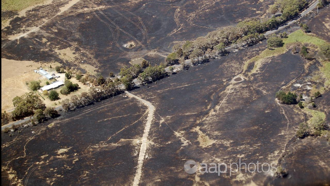 Burnt land near Beaufort in Victoria.