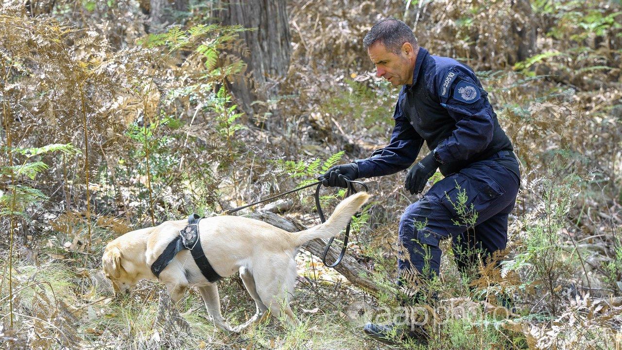 Police officer with a sniffer dog during the search.