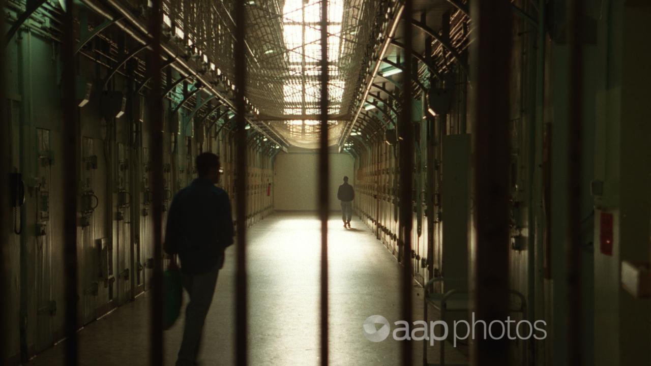 Prisoners are seen behind bars (file image)