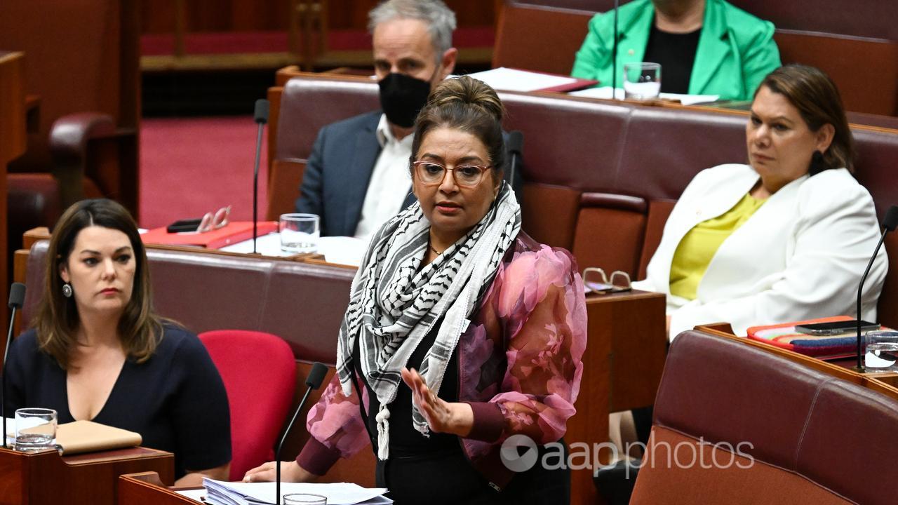 Senator Mehreen Faruqi speaks during Question Time (file image)