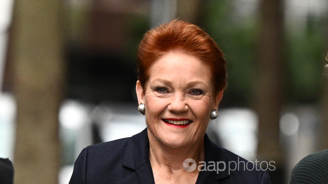 Pauline Hanson arrives at the Federal Court