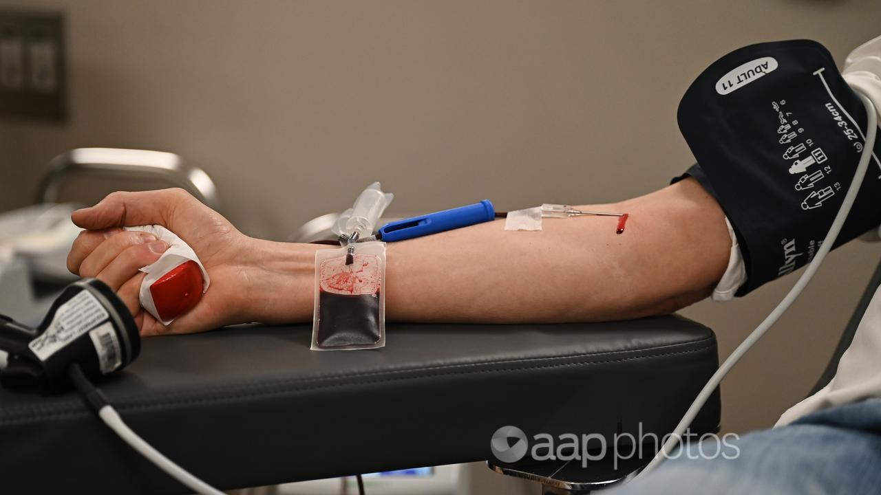 A person donating blood (file image)