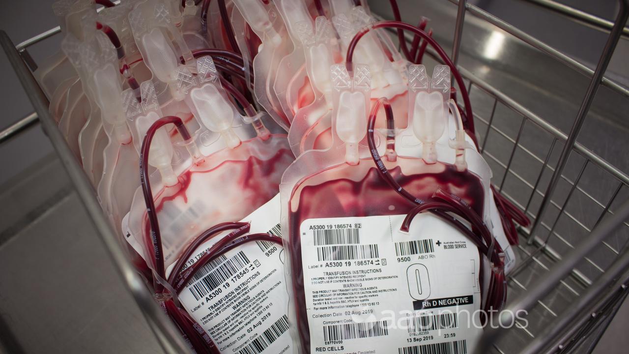 Bags of blood donations (file image)