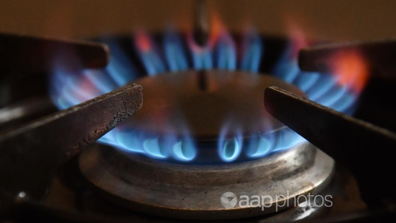 A gas burner on a bench top cooker (file image)