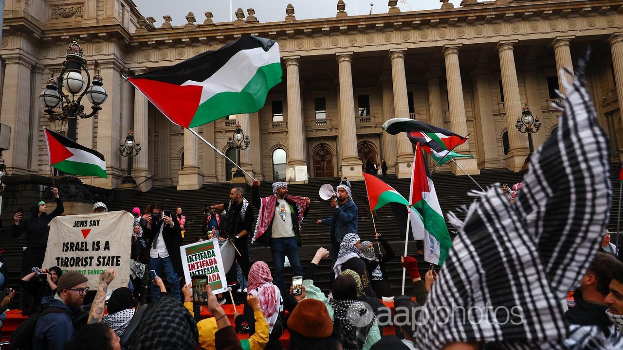 Pro-Palestine protest