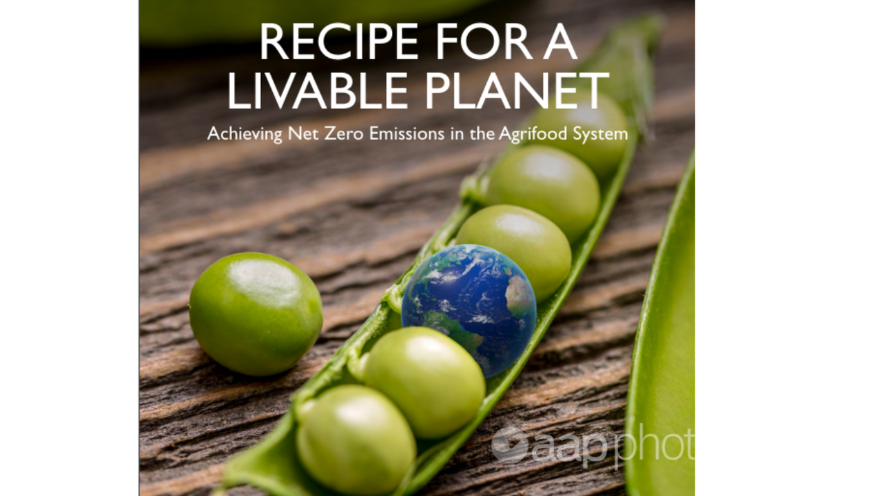 Front cover of the World Bank's Recipe for a Livable Planet report.