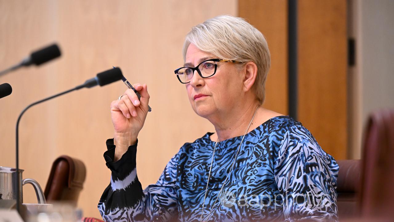 Australian Greens Senator Barbara Pocock.