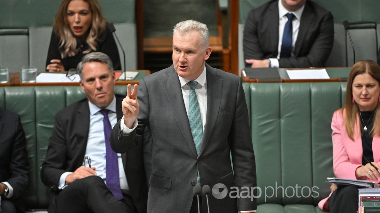 Workplace Relations Minister Tony Burke