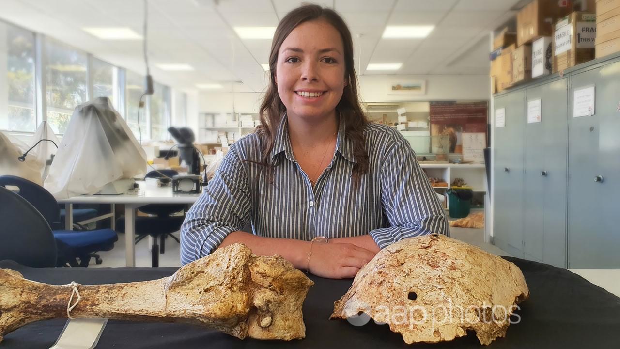 Flinders University palaeontologist Phoebe McInerney