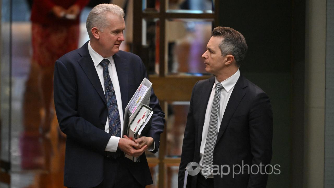 Tony Burke (left) and Jason Clare