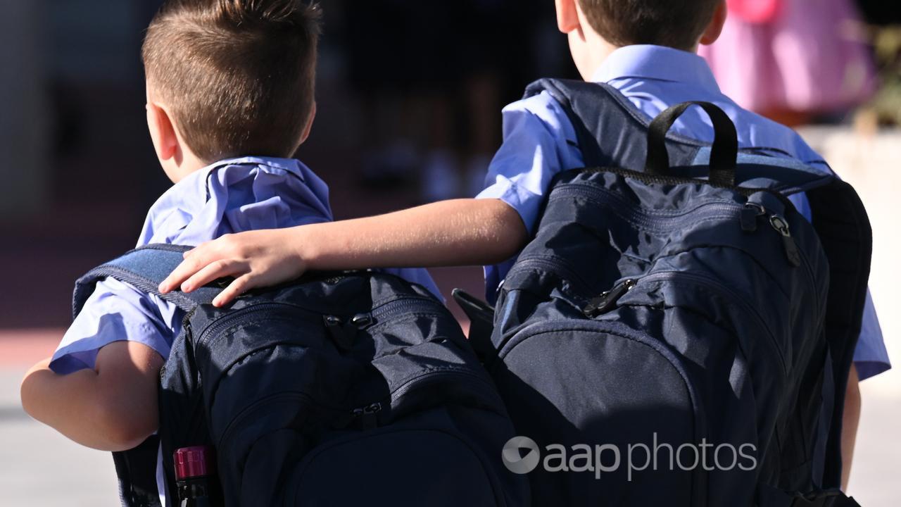 Two children in school uniform.