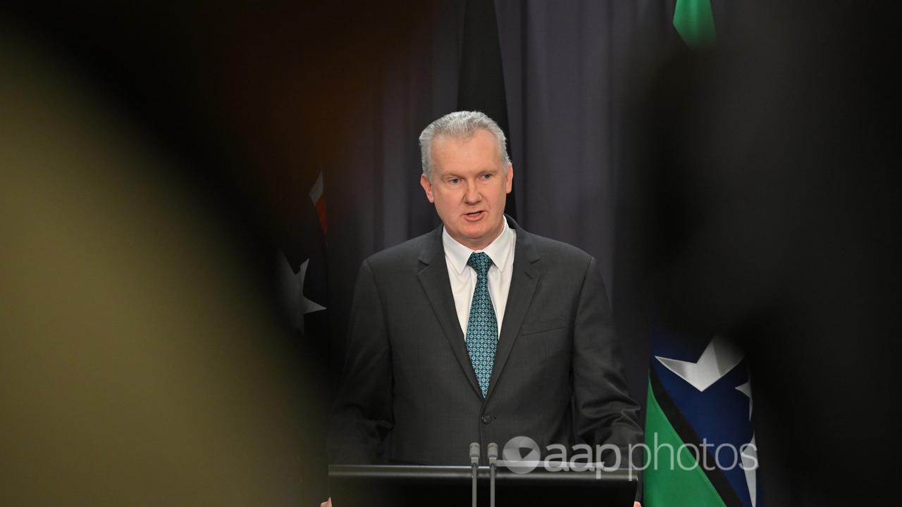 Minister for Employment Tony Burke.