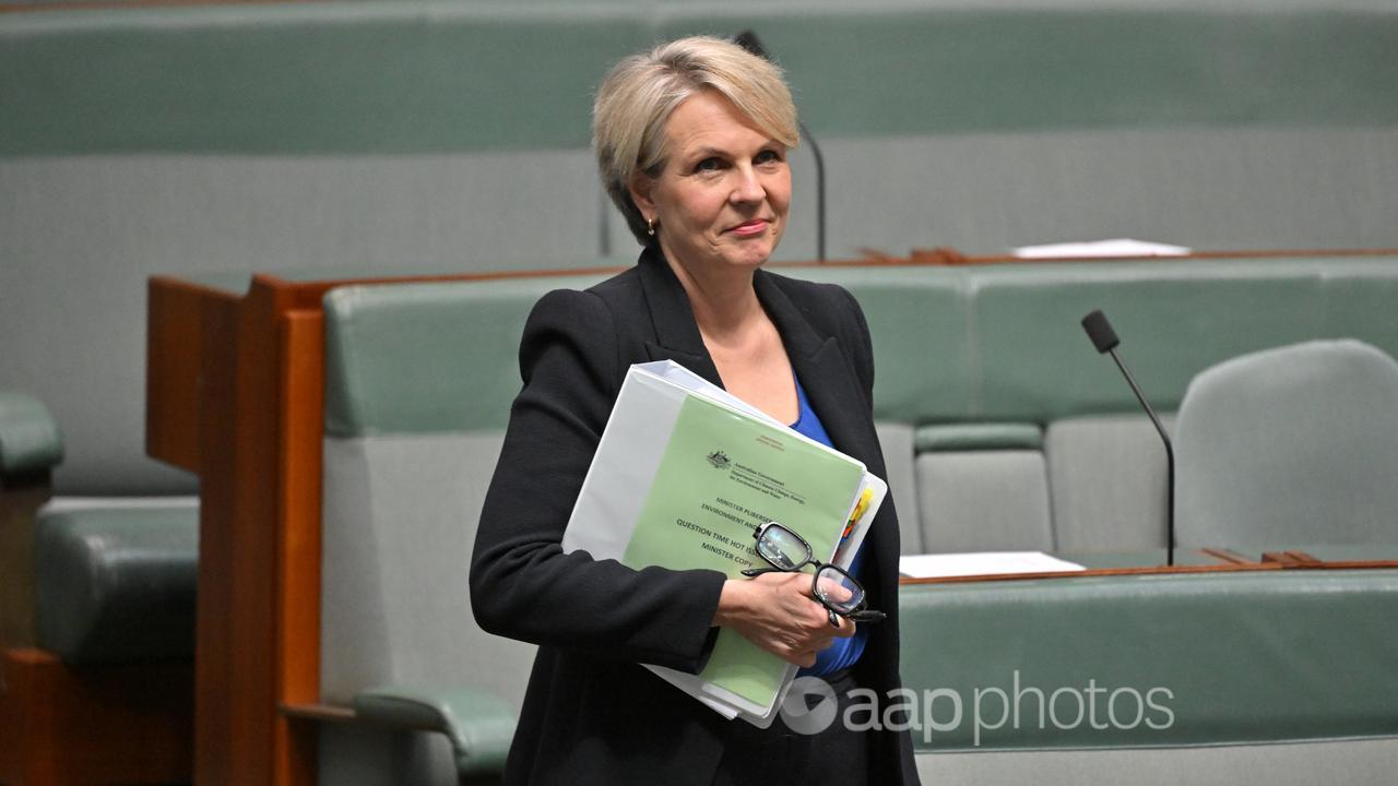 Minister for Environment Tanya Plibersek before Question Time