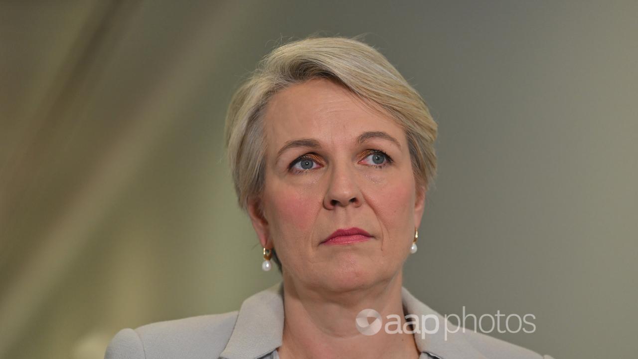 Minister for Environment Tanya Plibersek.