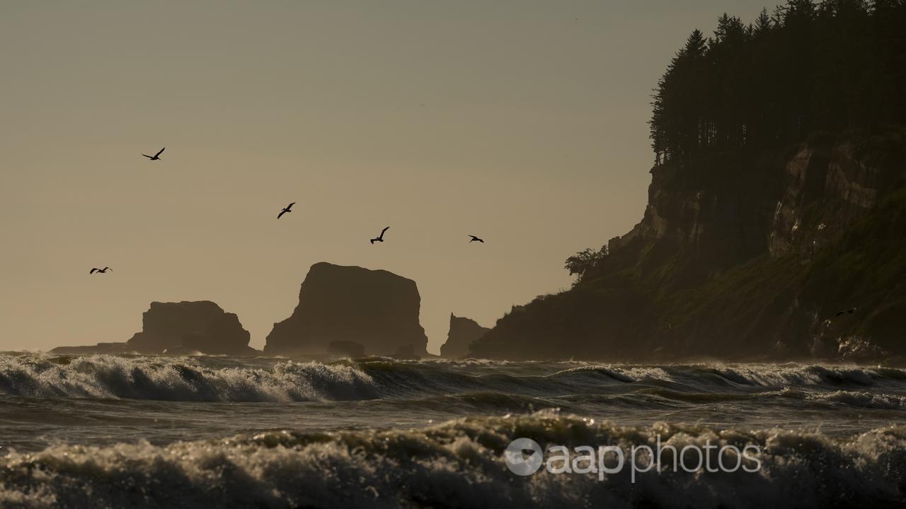 Waves rolling into the shore.