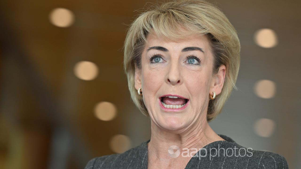 Shadow Attorney General Michaelia Cash