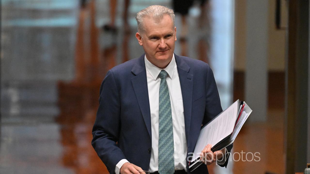 Tony Burke